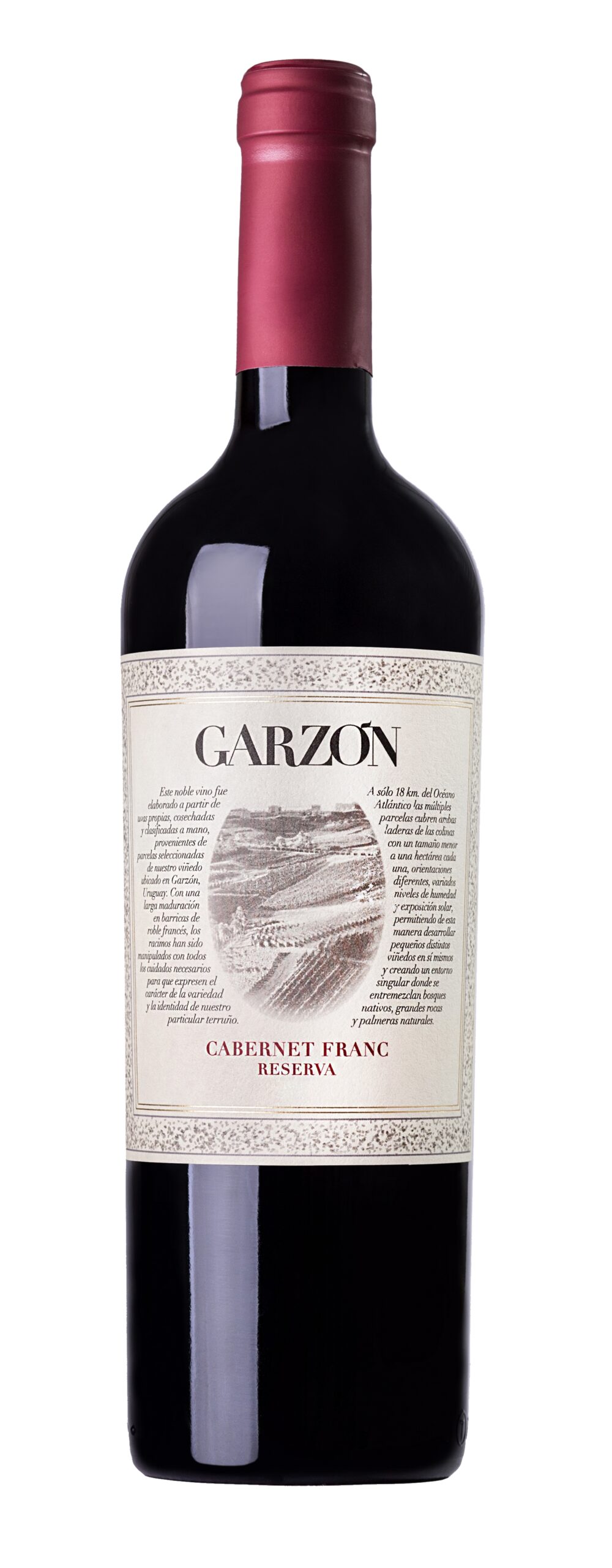 Garzon Cabernet Franc Reserva