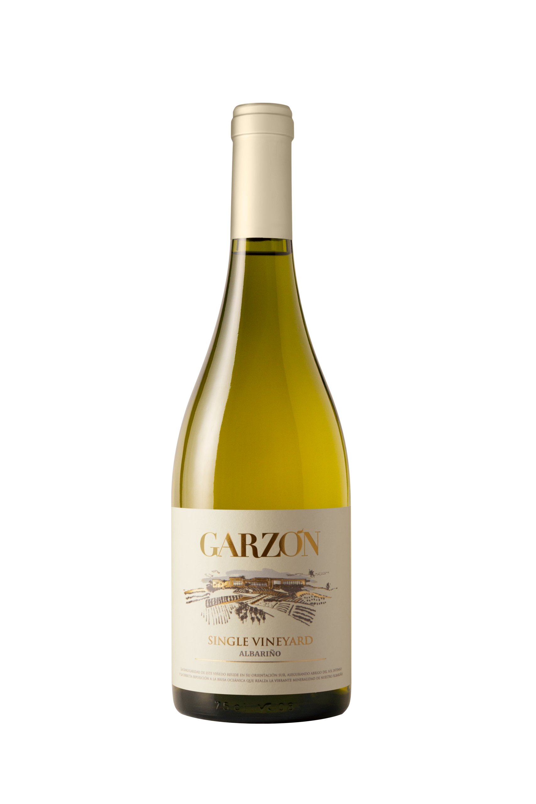 Garzon Single Vineyard Albarino