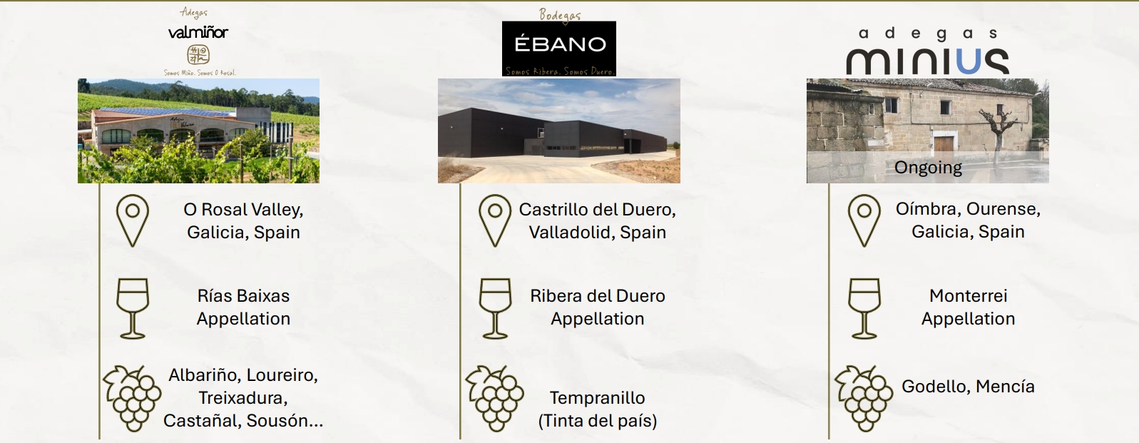 Adegas Valminor