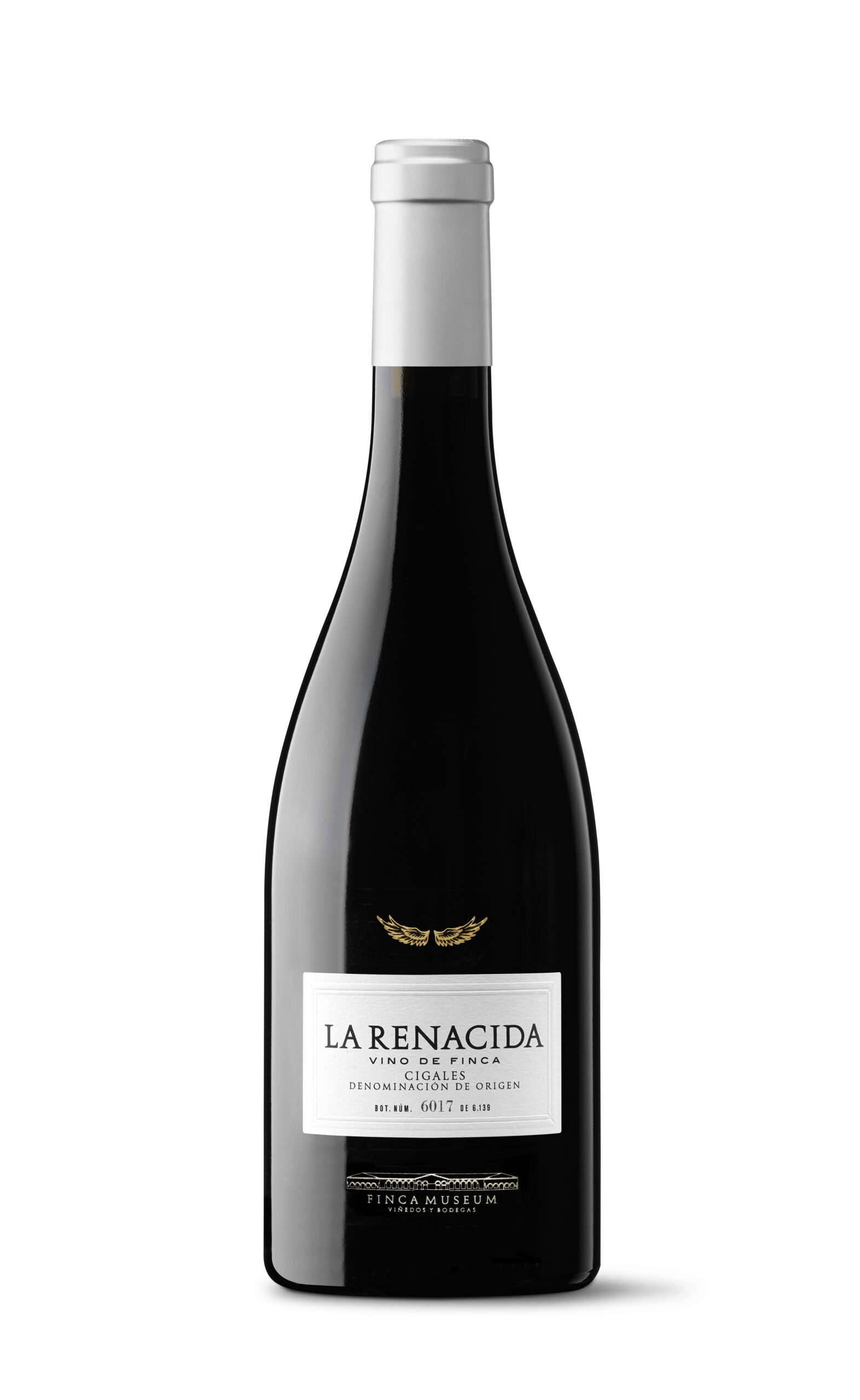 Museum 'La Renacida'