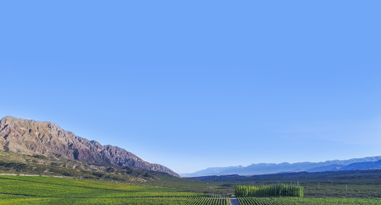 Pyros Wines